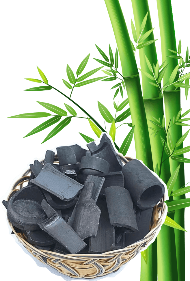 چوب بامبو و اهمیت آن در تولید کربن اکتیو
